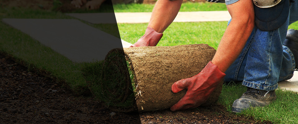 East Freetown Landscapers